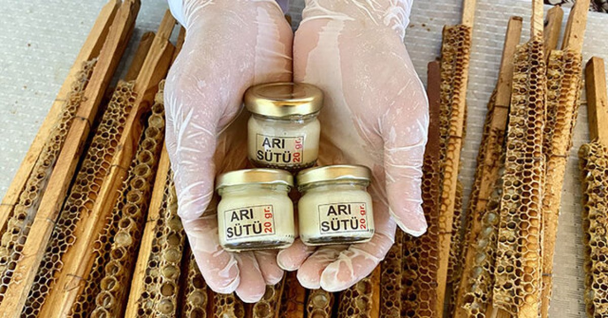 Arı sütü nedir, ne kadar tüketilmeli?