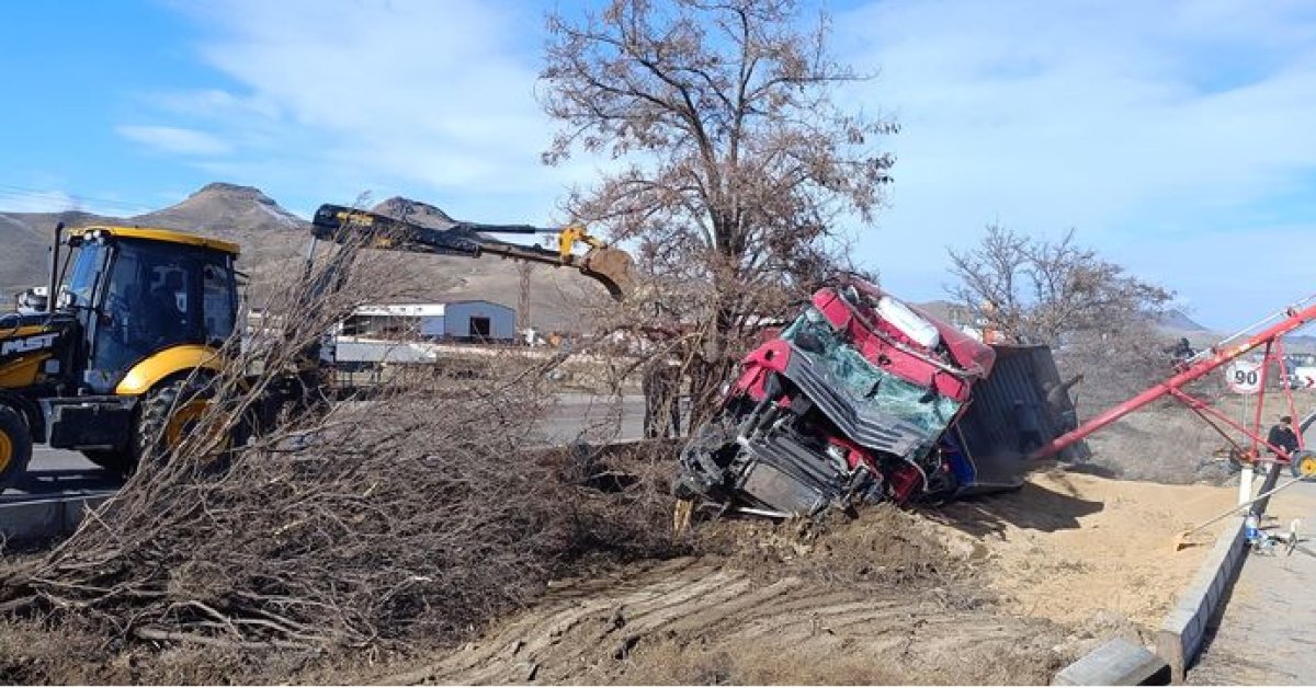 TIR, refüje ve ağaca çarparak devrildi