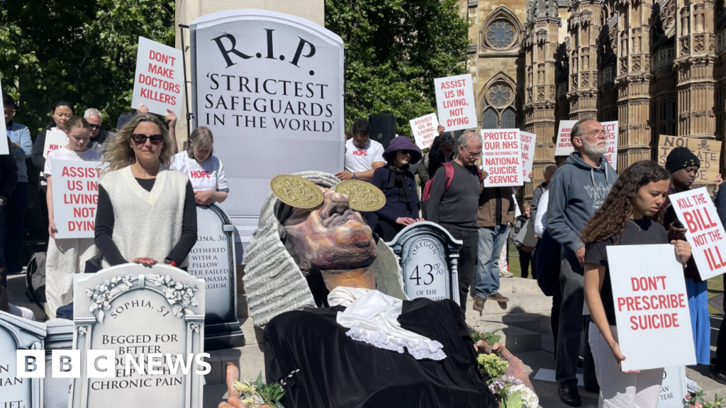 Assisted dying bill ‘no hope’ of passing unless Lords change approach, warns peer