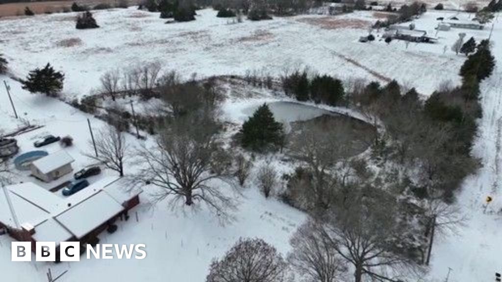 Three brothers die after falling in frozen Texas pond