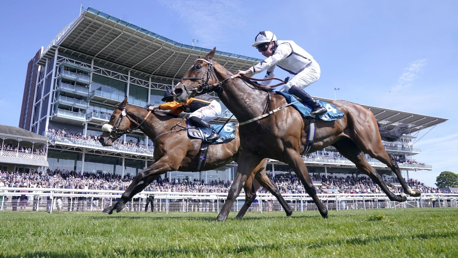 Today on Sky Sports Racing: Marshman and Diligent Harry lock horns again in the Kachy Stakes | Racing News
