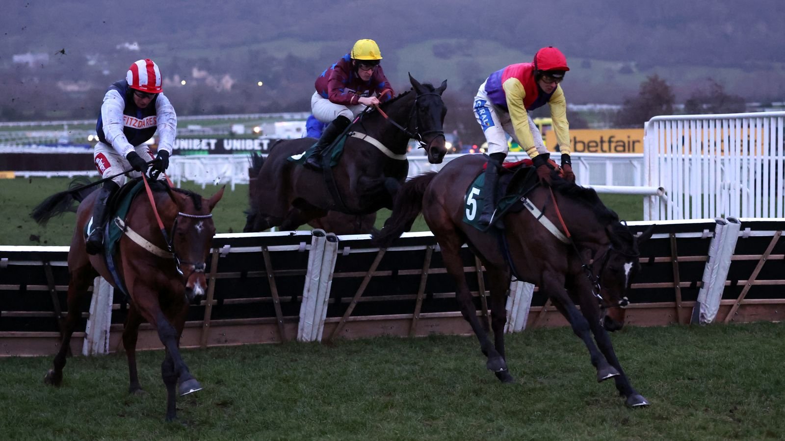 Harry Redknapp-owned Taurus Bay denied Grade 2 win in controversial Cheltenham finale | Racing News