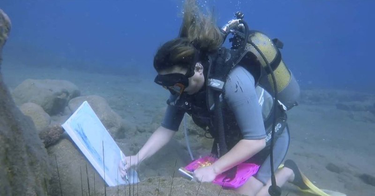Emekli hemşire, 8 yıldır su altında resim yapıyor
