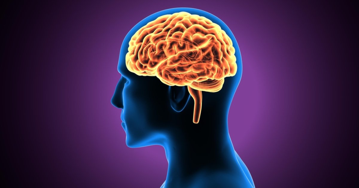 Sofranız beyninizi nasıl etkiliyor?