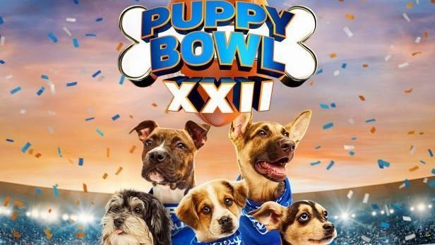 Puppy Bowl 2026 features NFL-inspired pups